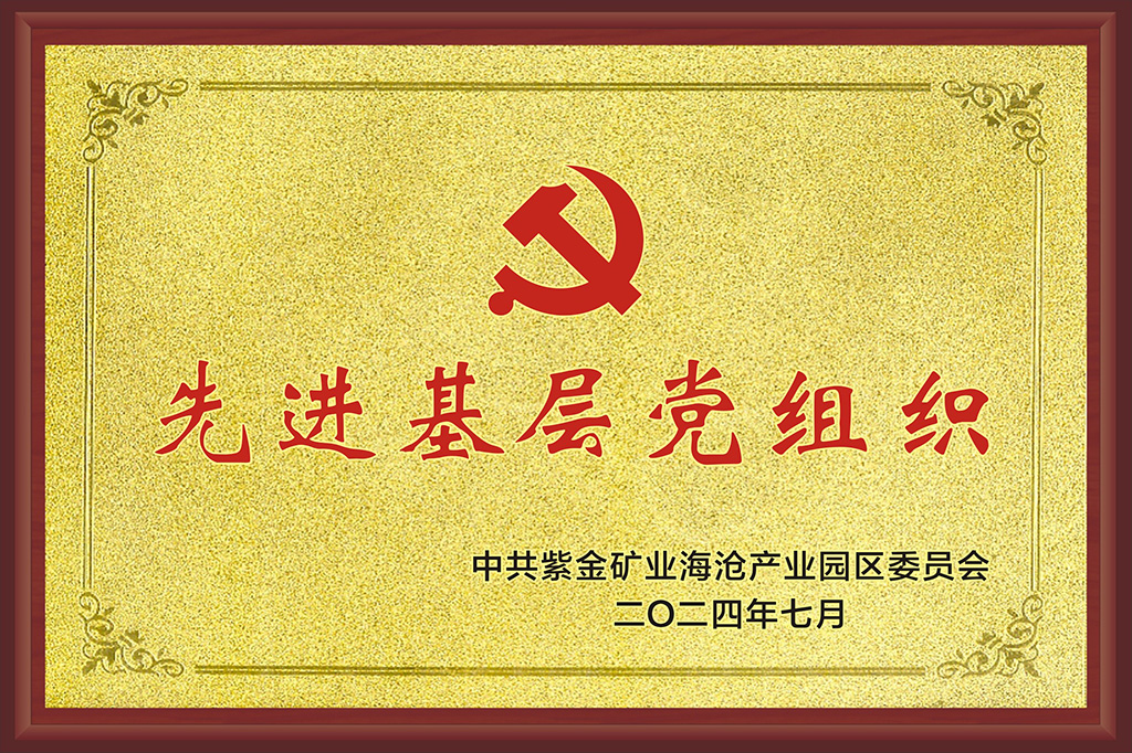 先进基层党组织